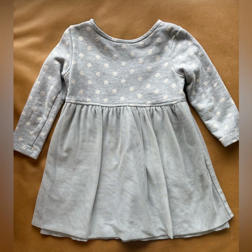 Hanna Andersson Polka Dot Tulle Dress